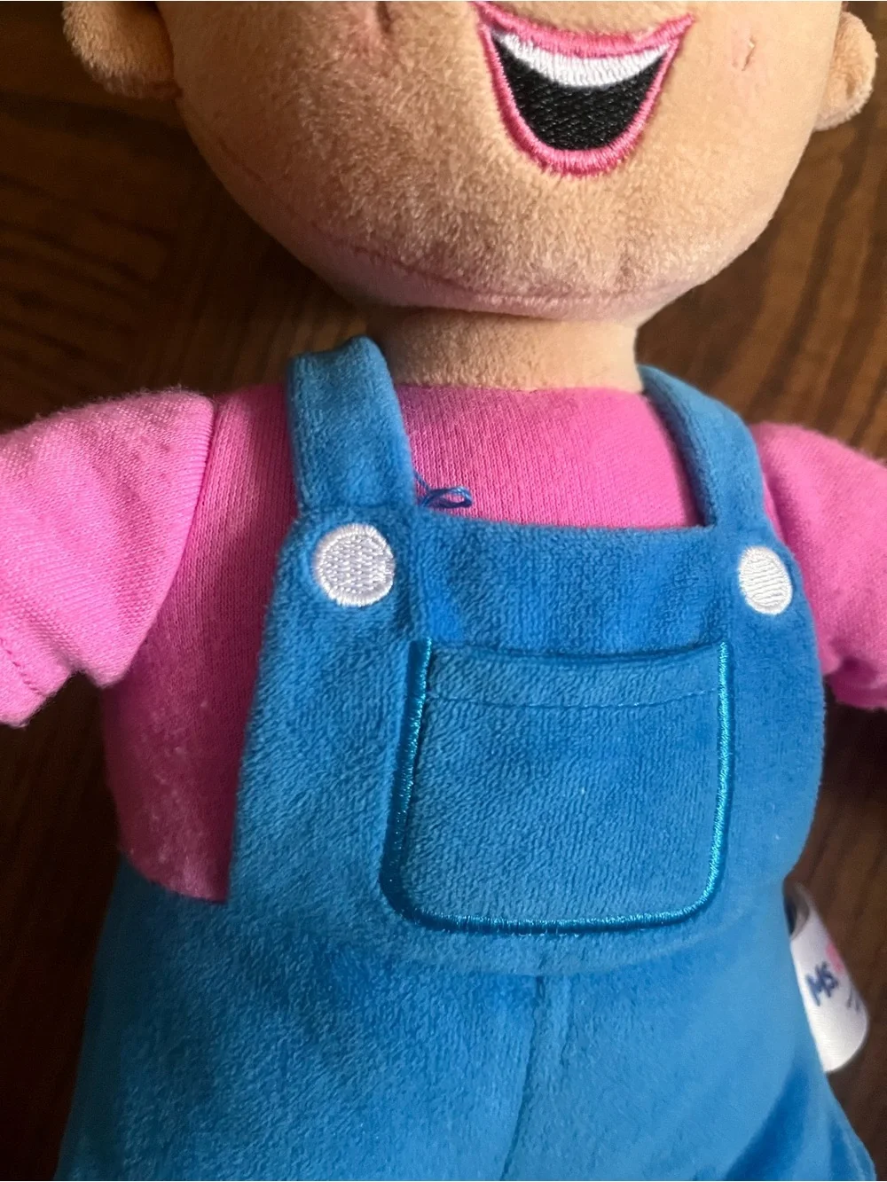 Ms. Rachel Plush Doll + Melissa & Doug Sound Puzzle + Happy Birthday Book Bundle